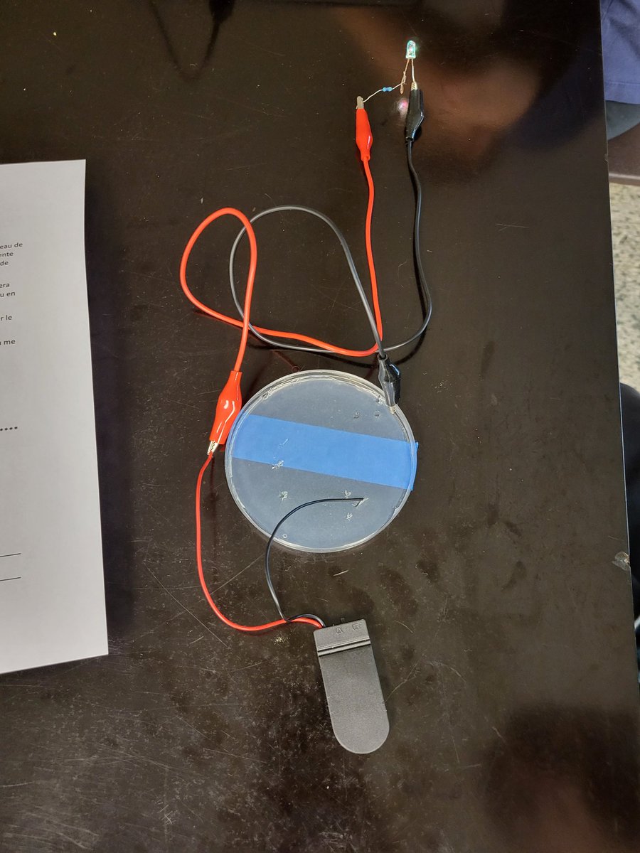 Hey <a href="/CuriousAlishaCo/">Alisha Collins</a> <a href="/brilliant_labs/">Brilliant Labs / Labos Créatifs</a> <a href="/marc_music_mich/">Marc-André Pelletier</a> and <a href="/NatachaVautour/">Natacha Vautour</a> look what my students made!!!  😀 #biomaking #biofabrication #stem #steam #stiam #stima