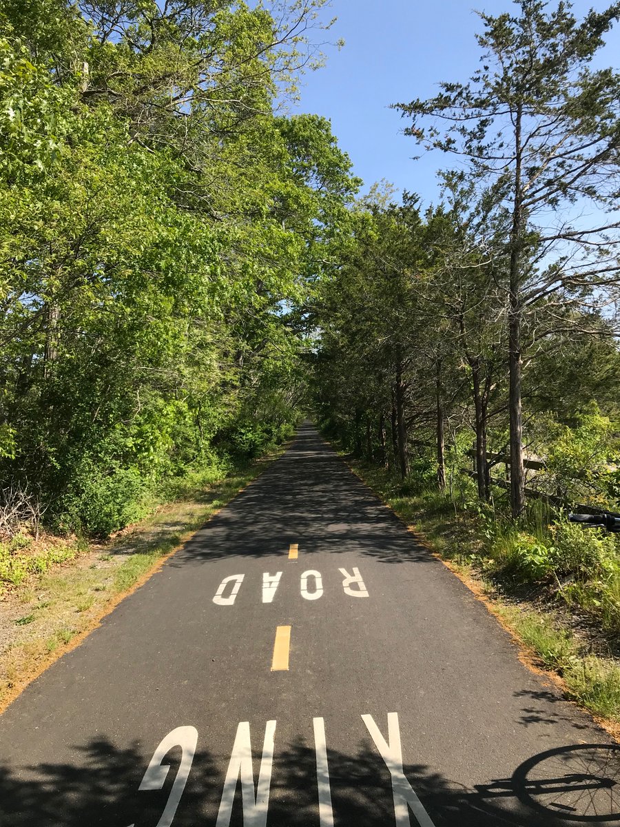 CapeCodBars's tweet photo. #CapeCodRailTrail today #Dennis to #Wellfleet, quiet and relaxing with few people. Saw a deer right on the path! Really cool to see the change going into Wellfleet where it is dominated by pines, the way the rest of the cape was about 40 yrs ago (now Oaks are abundant). #CapeCod https://t.co/TtAh7DFOXl