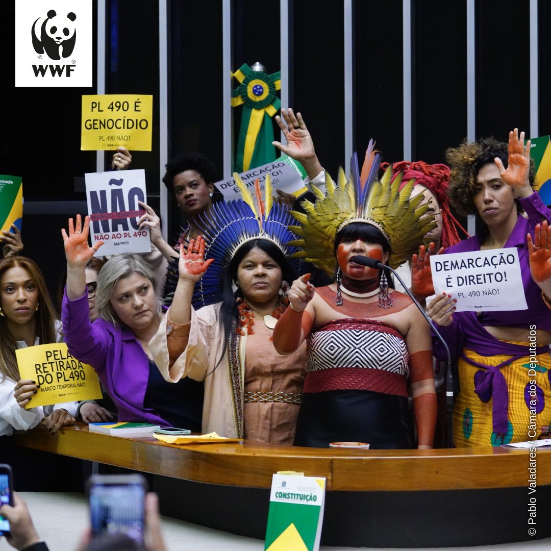 wwfbrasil's tweet photo. @alice_pataxo 283 a favor, 155 contra e 1 abstenção, foi aprovado na @camaradosdeputados o texto principal do PL 490, que seguirá para o Senado. Um retrocesso que coloca décadas de lutas dos povos indígenas em jogo. Leia nosso posicionamento: https://t.co/YtTxQWnUce

#AgirÉUrgente #PL490NÃO https://t.co/e2p3US3Mtd