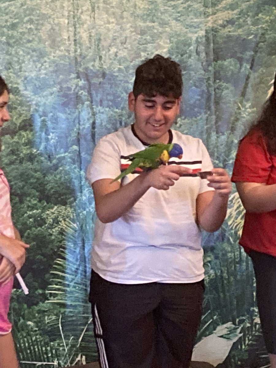 MrsAdamsHRM's tweet photo. Visiting Wild Bird Kingdom in Niagara Falls - grade 8 grad trip part 2! ⁦@HolyRosaryM⁩ https://t.co/b4OmPx4b7V