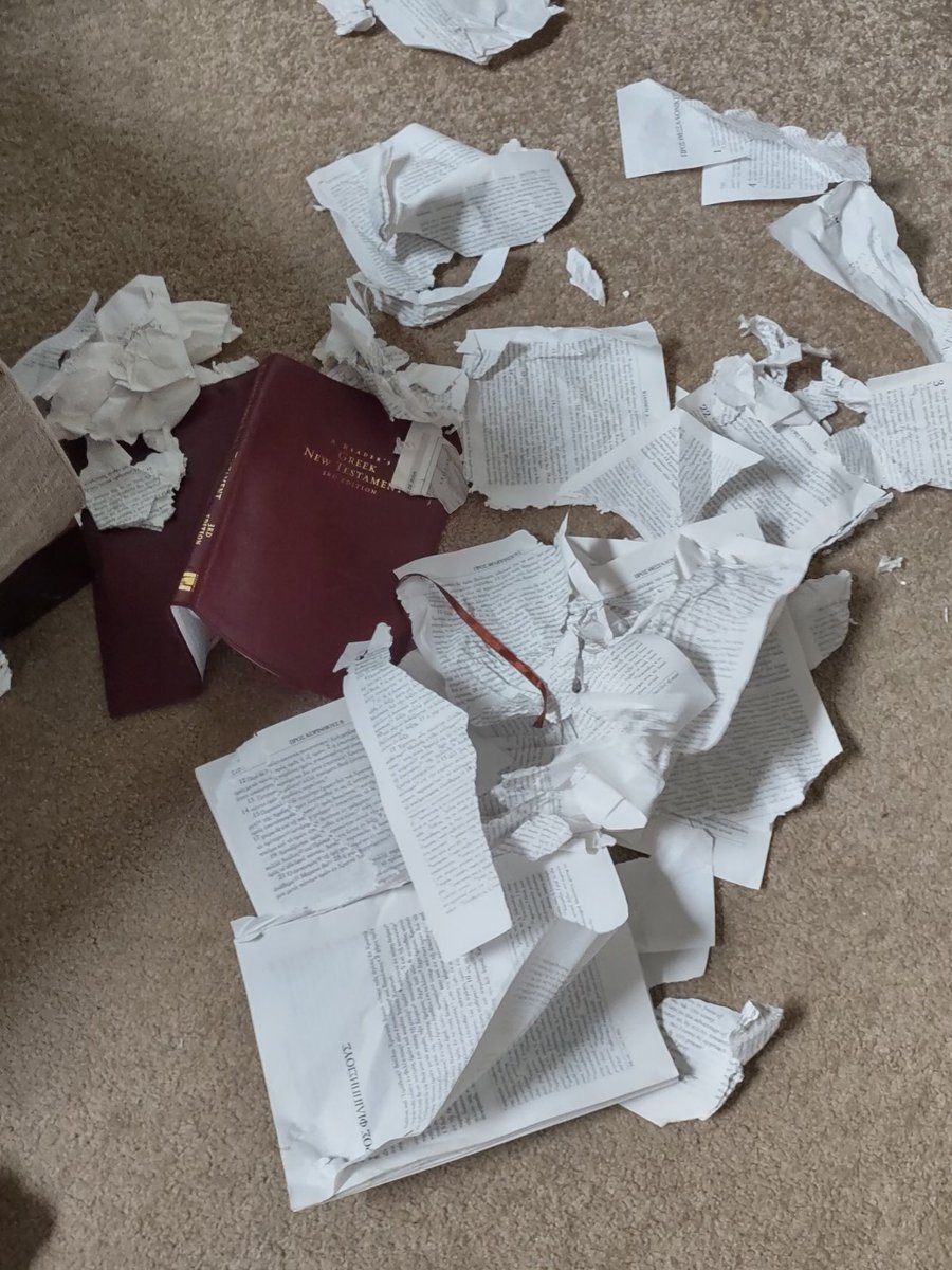 patricksrarebks's tweet image. My brother’s dog must by a TR-onlyist, because this is what he did to his Reader’s Greek New Testament.

#TRonly #textusreceptus #textualcriticism #kjvonly #Bible