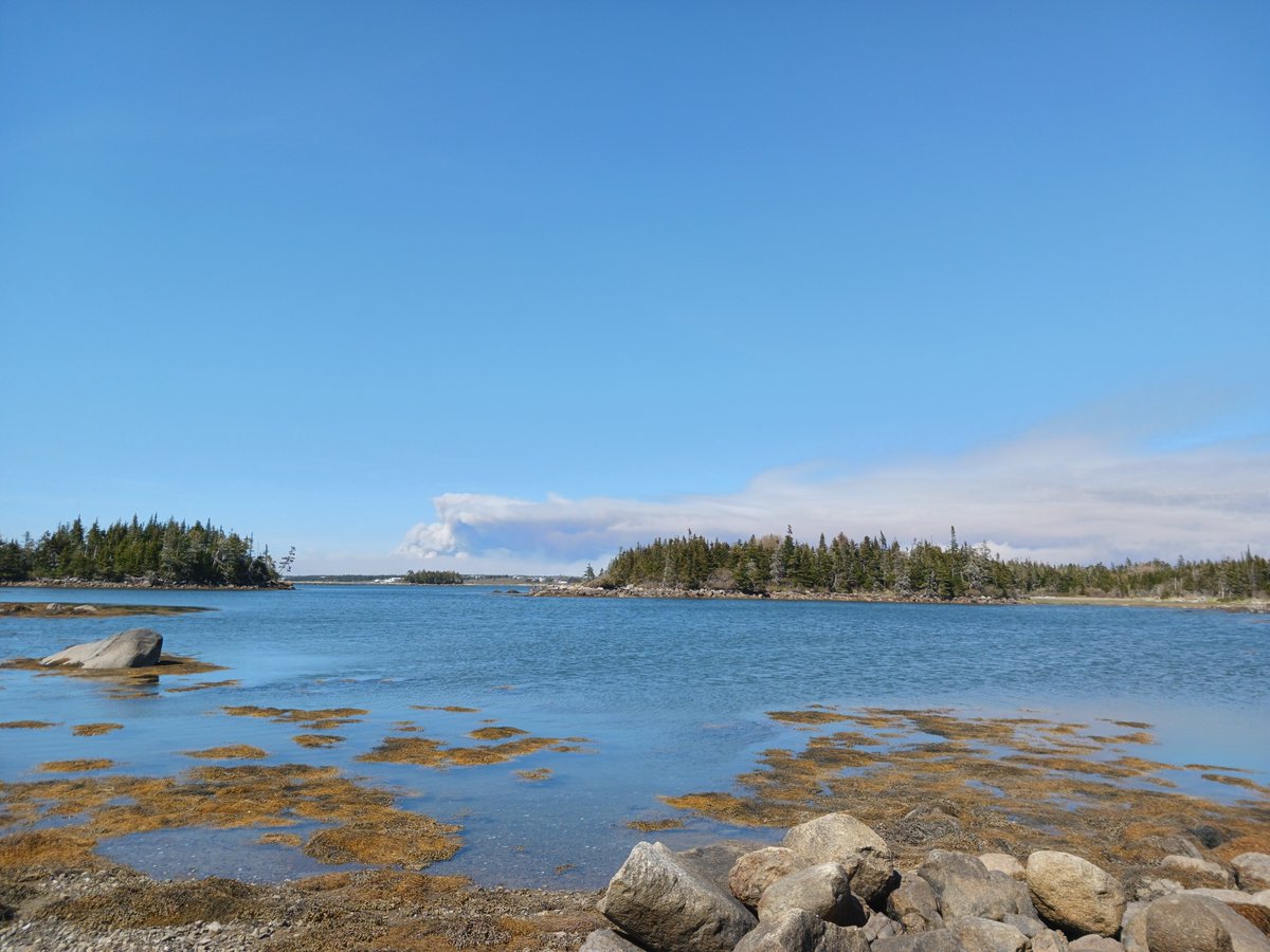 ImagesCoast's tweet photo. Historic massive the Barrington Lake fire in Shelburne County Nova Scotia Canada is still burning hot. May 30th 2023 #gooselakefire #gooselake #fire #wildfire #wildfires #geoengineering #oceantrawling #oceandredging #climatechaos #climatehell https://t.co/l4Hha3vnHP
