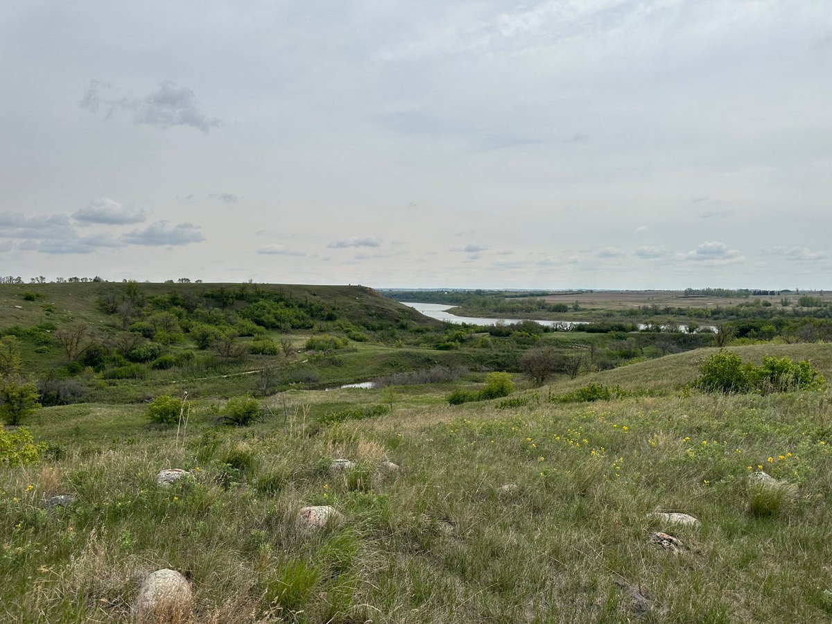 Darby Flynn tweet media