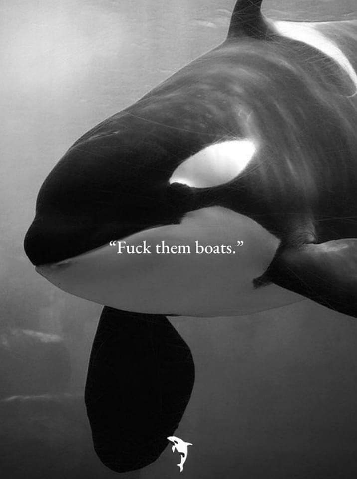 Apoyamos a Gladis en su cruzada contra la humanidad.