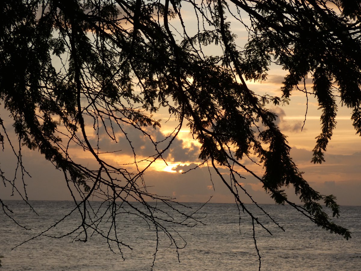 suezeecue's tweet image. Sunset on Calabash Sunday... #TreasureBeach #Jamaica #TuesdayScenes #Calabash2023 @djmillerJA @CaroleBeckford @SonjahStanley @simonenclarke @jahmekyagyal @DahliaHarris