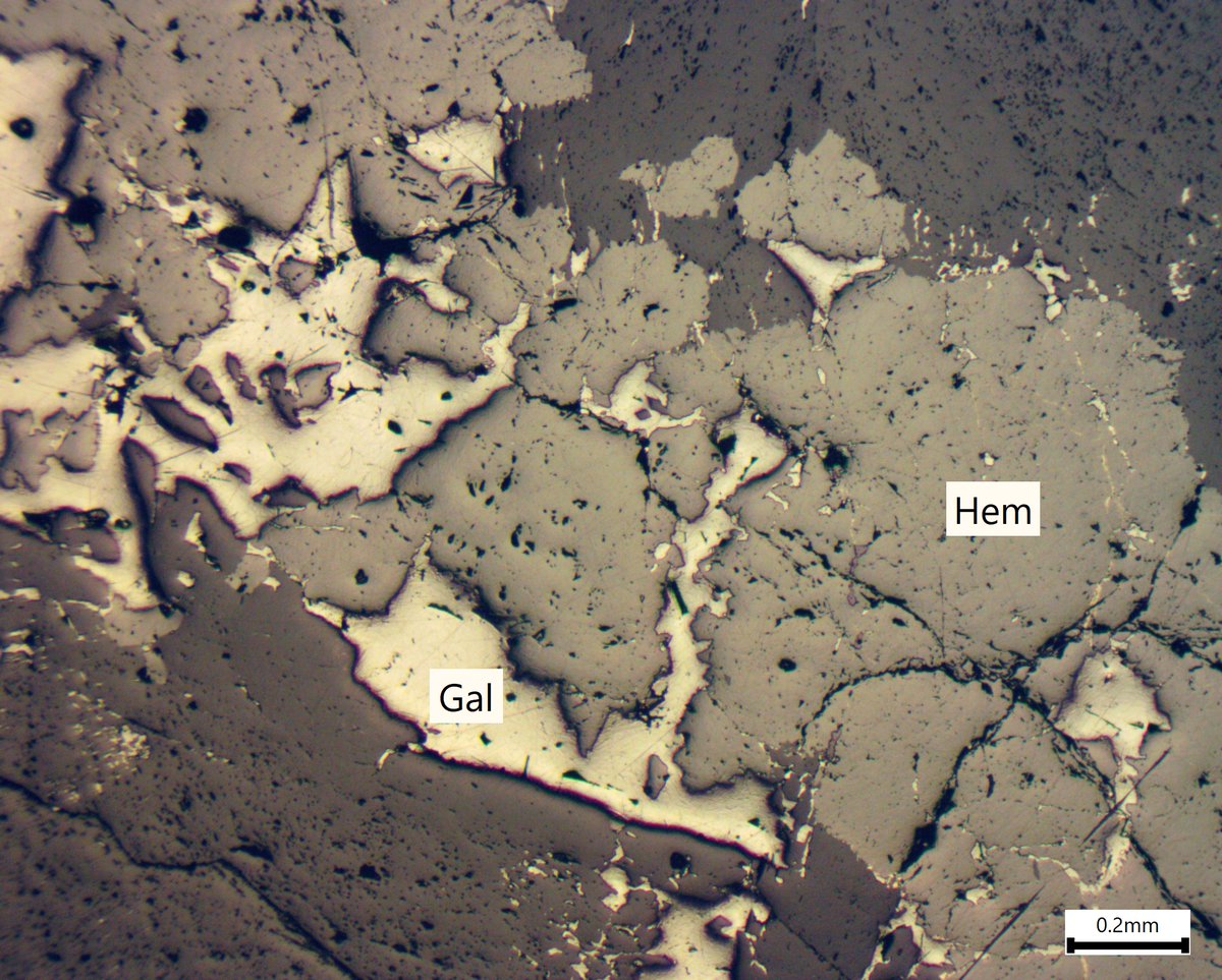 A reflected light photomicrograph showing hematite (Hem) overprinted by galena (Gal) at the Mount Magnet deposit, WA, Australia. 

#geology #magnetic #hematite #geoscience #galena #science #photomicrograph #reflectedlightmicroscopy #microscopy #petrology