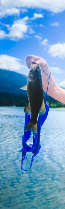 The outfit looked better on the bass 🤭 pics on my OnlyFans https://t.co/dN2DzEoqer https://t.co/Pjgy<a href="/tag/progress"class="tags"><span>#progress</span></a><a href="/tag/poledance"class="tags"><span>#poledance</span></a>