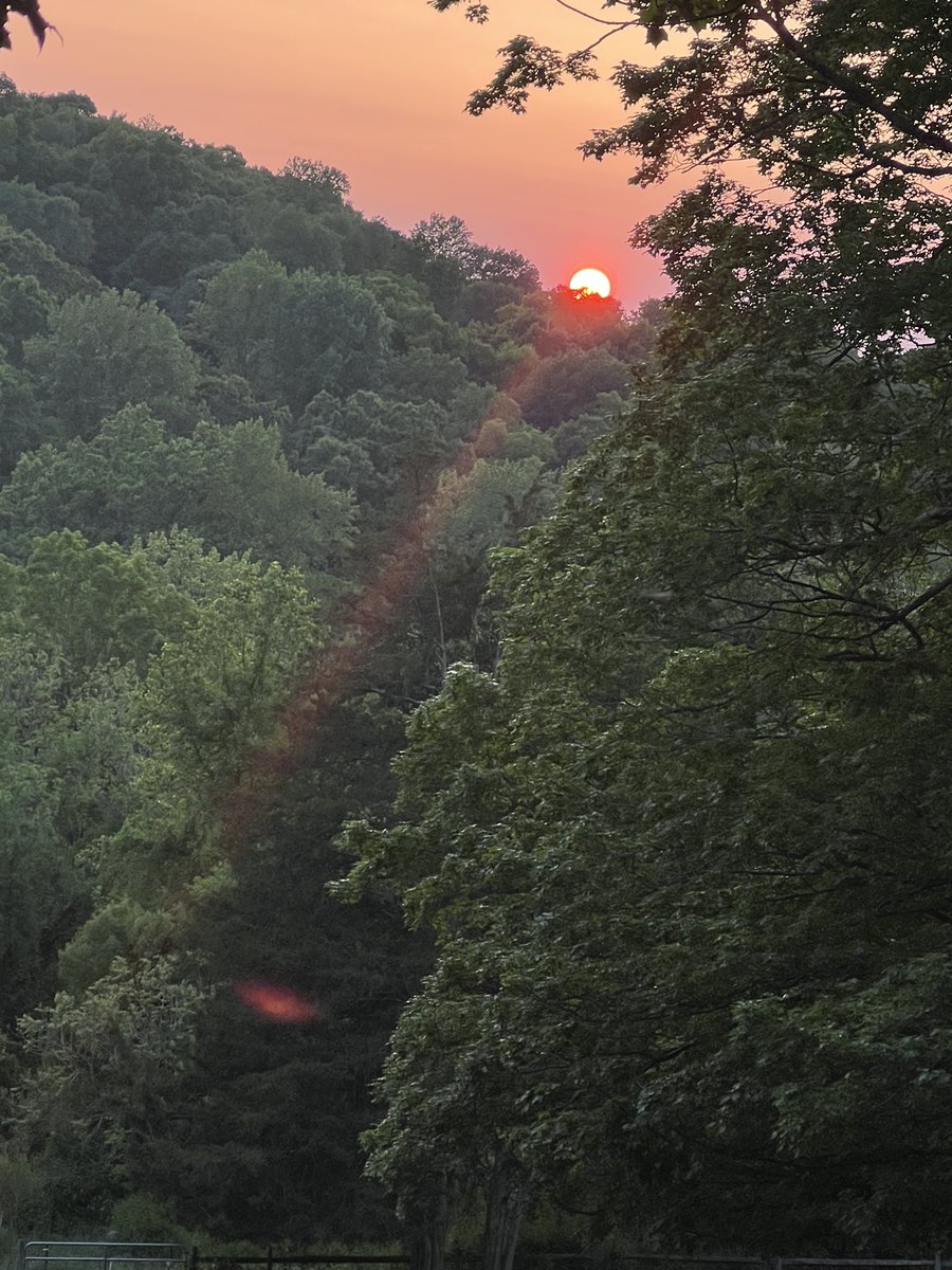 .Jαиє⋆Ꭰoє.• tweet media