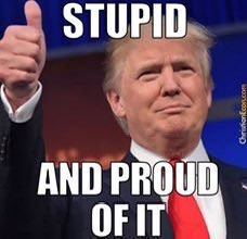 Eaglestar51st's tweet image. 