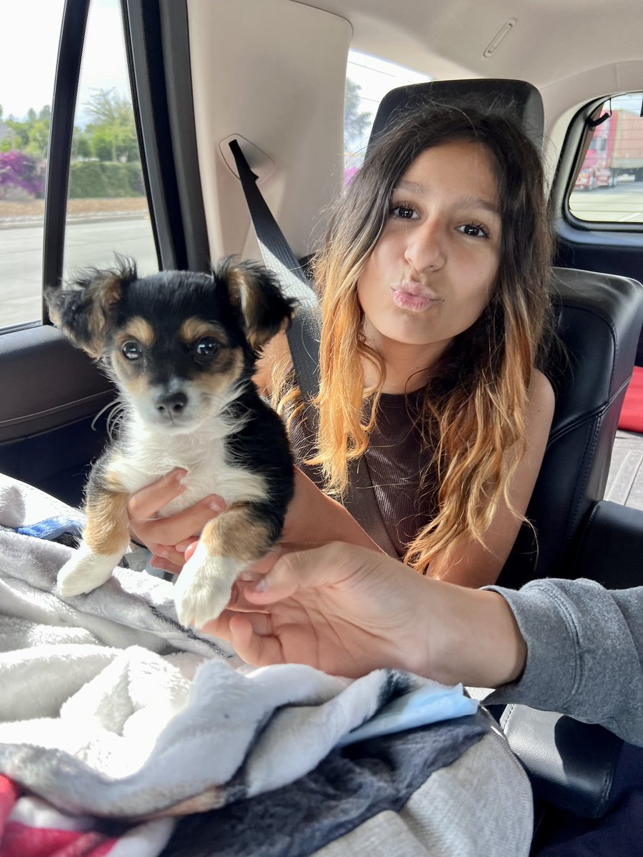 FirePhotoGirl's tweet image. We did a thing today! Meet Rico 😅 #pomchi
