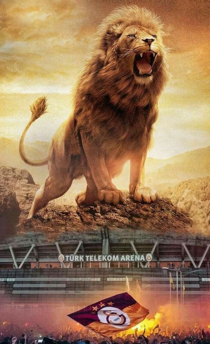 🦁🏆🤍
#ultrAslanUNI #Galatasaray