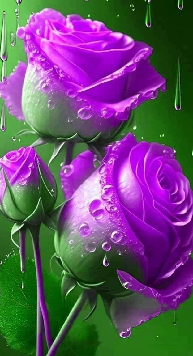 Kamil (@kamel11821020) on Twitter photo 