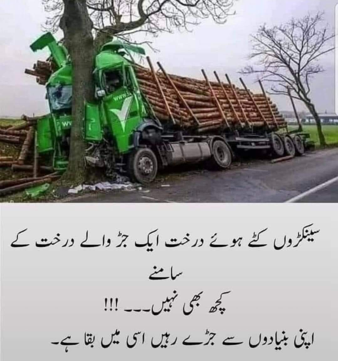 Wisdom