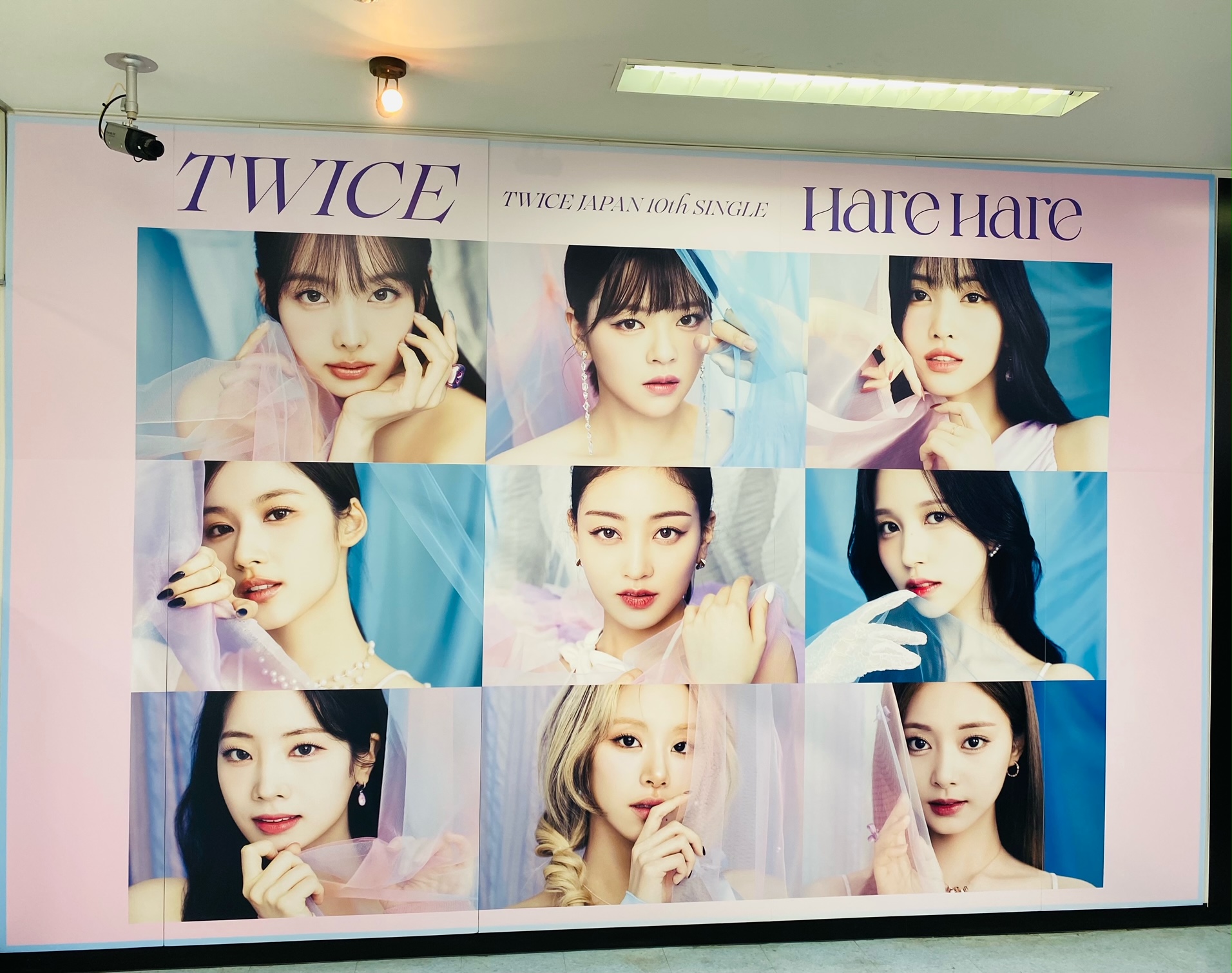 twice this is for 通常　バラ売り TWICE THIS IS FOR WORLD TOUR IN JAPAN SPECIAL Photocard