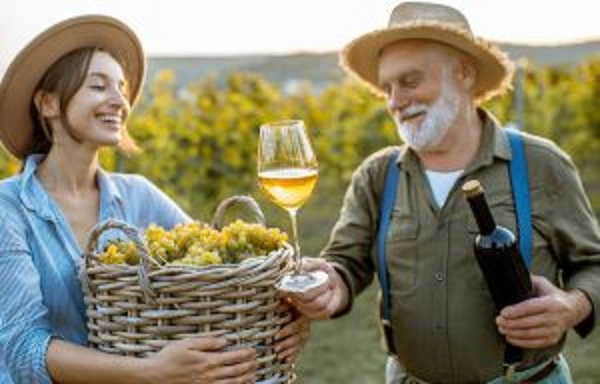 POPwinecopy's tweet photo. Wine Armageddon has finally arrived. Wine professionals should focus on bringing generations together, expanding participation, building new ideas, and creating a new vision for the future of wine. #fyi50plus #fyi50+ #Travel #Life #Lifestyle #Newsworthy https://t.co/64cMlnjQuO https://t.co/rwpbR7xI1G