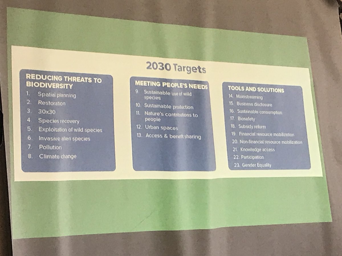 Our team, led by our policy coordinator, <a href="/otetejackim/">Abdul Hamid</a>, is part of a consultative workshop, convened by the <a href="/Environment_Ke/">Ministry of Environment, Climate Change & Forestry</a>, on the Kunming-Montreal Global Biodiversity Framework and the review of Kenya's National Biodiversity Strategy &amp; Action Plan (NBSAP) framework.

1/3
#youth