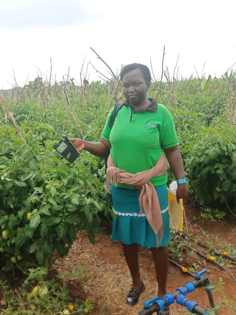 Farmtrack (@farmtrackconsul) on Twitter photo 