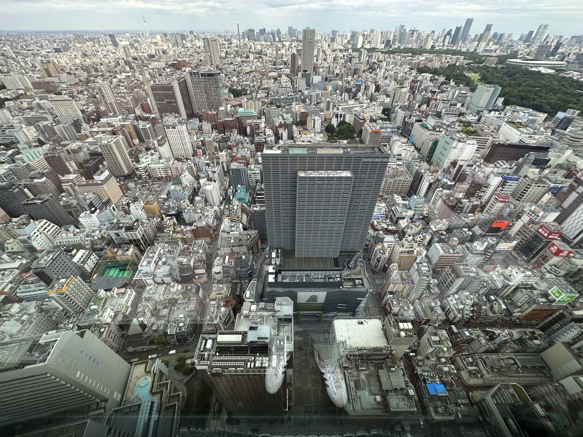 So we changed to the bougie hotel that shared the building with our first. Here is a panoramic from the 44th floor of this place also in Shinjuku’s Tokyu Kabukichō Tower, and a non-panoramic angled shot downward to give a better perspective on the height.