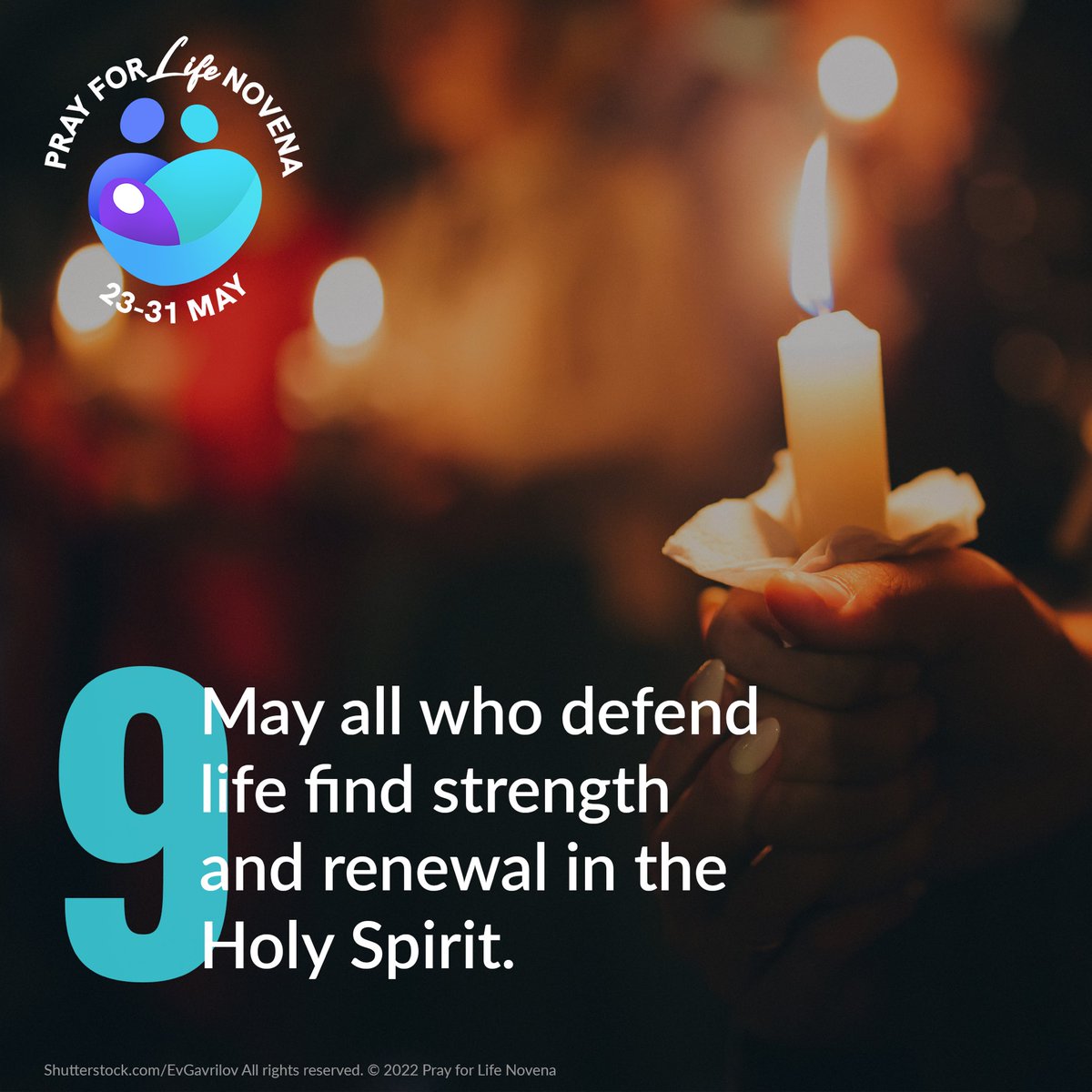 PrayforLife_ie tweet picture