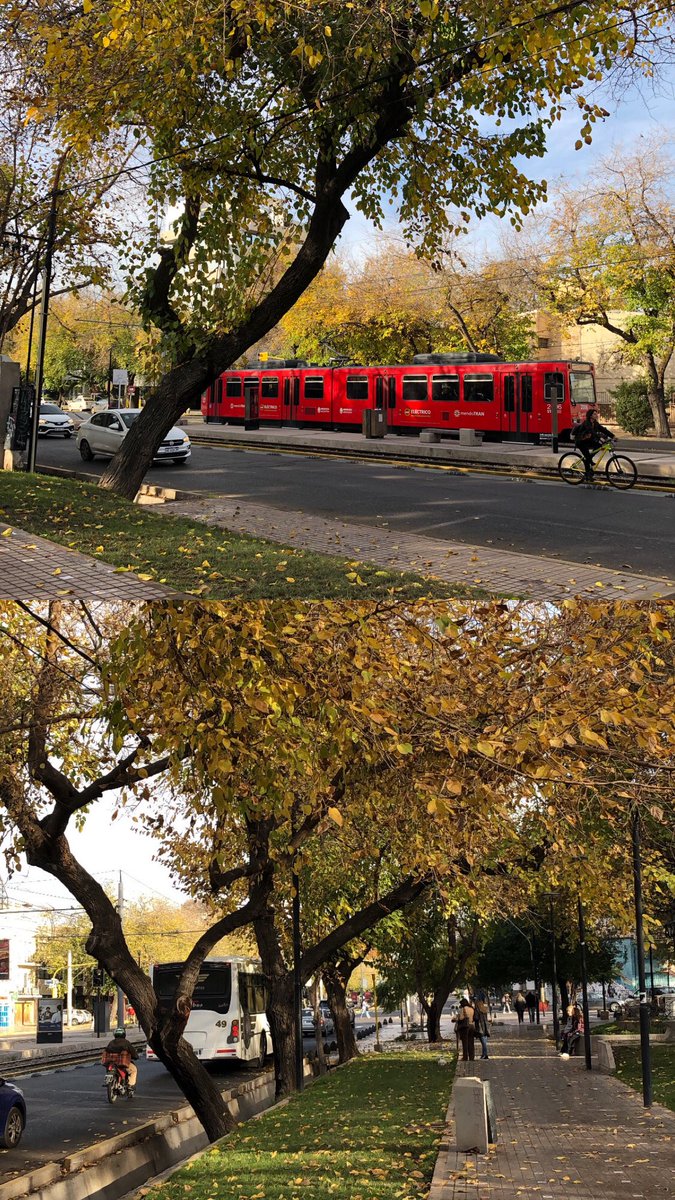 Miren lo que es Mendoza en otoño 🍂 KERMOSOOO