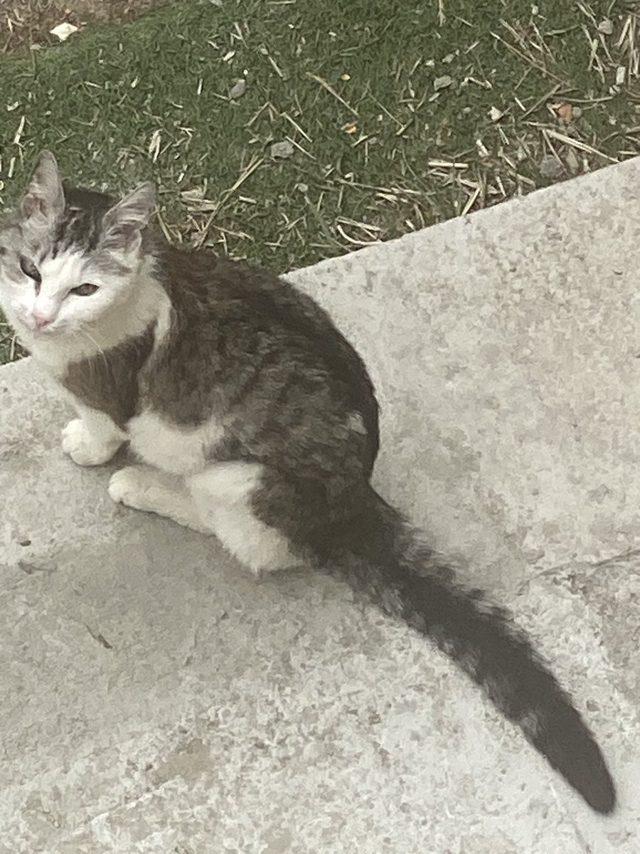 gwenael gerard 🇮🇩 tweet media