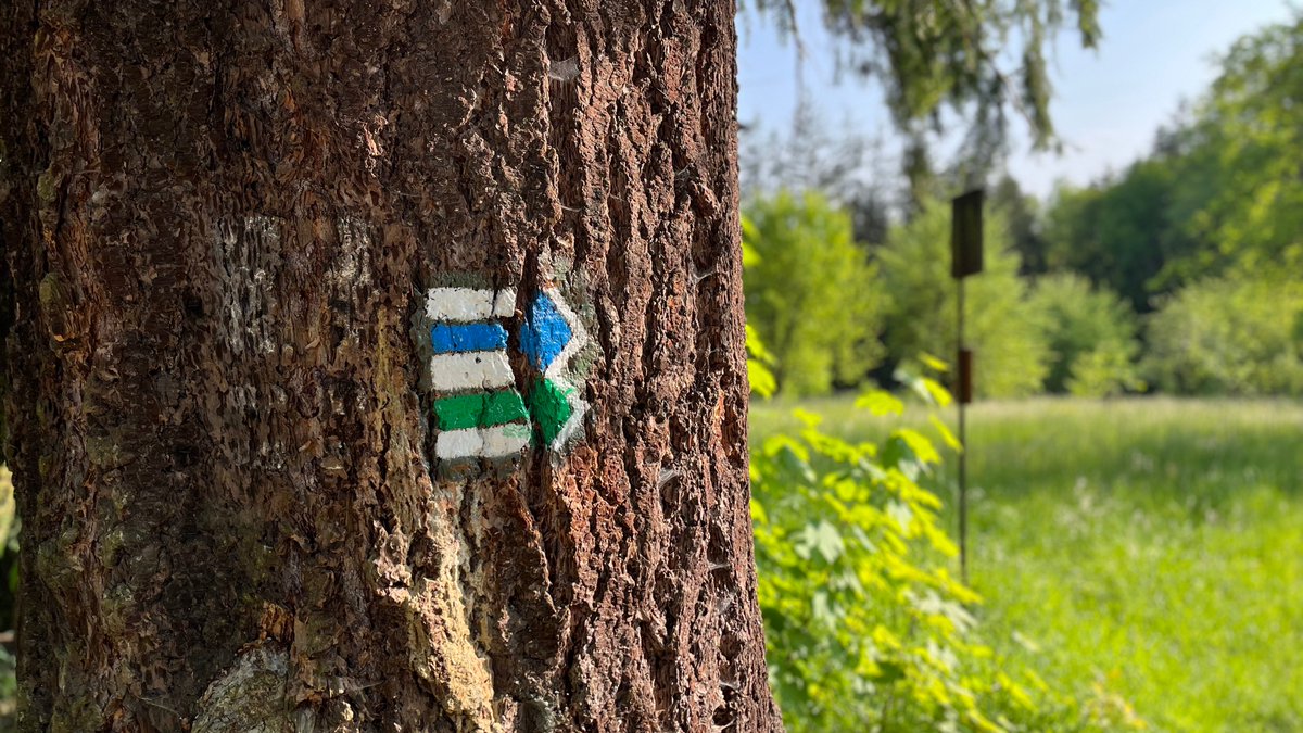 Ian_Willoughby's tweet photo. I've said this before, but one thing Czechs should definitely be proud of is the country’s dense network of colour-coded hiking trails. Practically all non-natives (myself included) who have encountered this system are enormously impressed! 🔴🔵🟢🟡 https://t.co/5hEPcXbua6