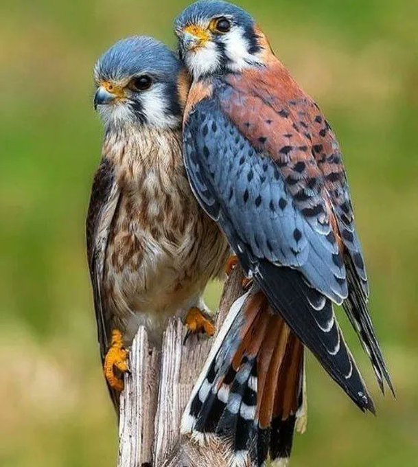 #The most wonderful mutual understanding and support between two people makes their love even deeper.