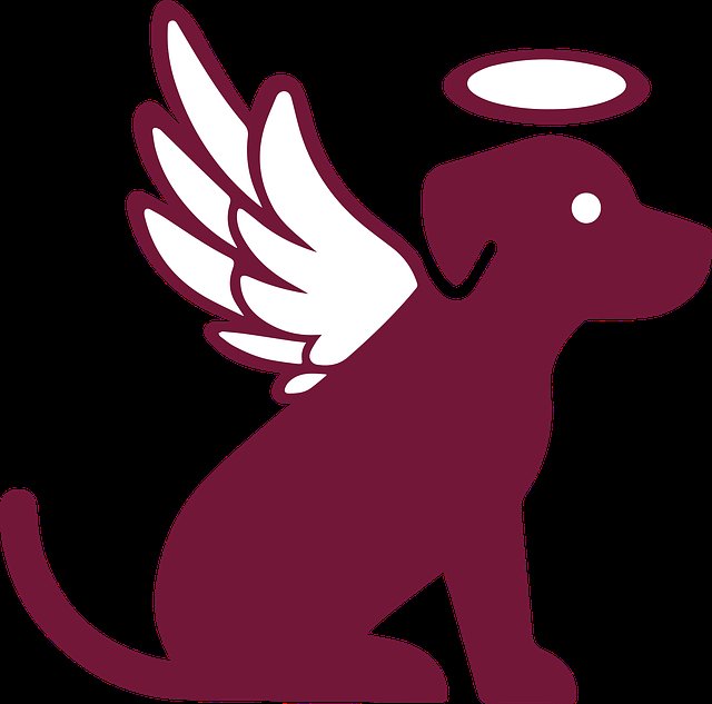 mo2_edgar's tweet photo. #JusticiaparaBenito #JusticiaparaBenito #JusticiaparaBenito https://t.co/IcZqN4xNA1