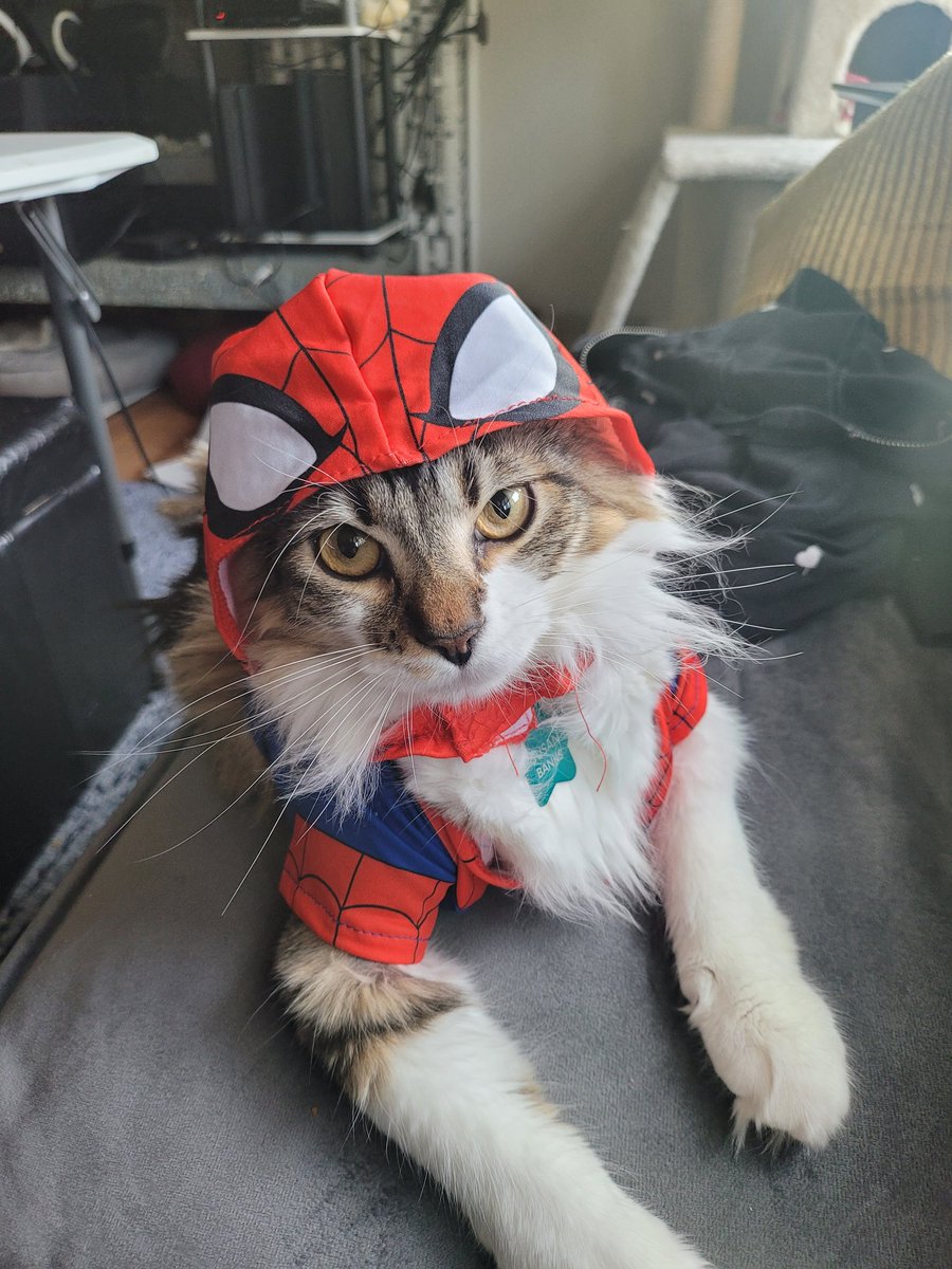 tee__low 🐀 tweet media