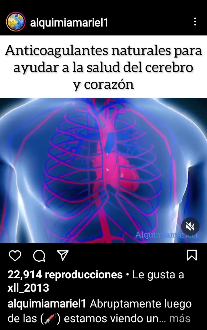 MIERCOLES 31 DE MAYO 2023
Los esperamos en vivo a partir de las 18hs con <a href="/AlquimiaMariel/">Alquimia Mariel</a> para desintoxicarnos de metales pesados y demás toxinas. Mariel Responderá preguntas en VIVO desde el chat de: twitch.tv/veronicaressia 
LOS ESPERAMOS!! 🇦🇷❤️🇦🇷