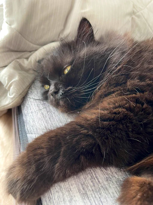 眠そう(^ ^)