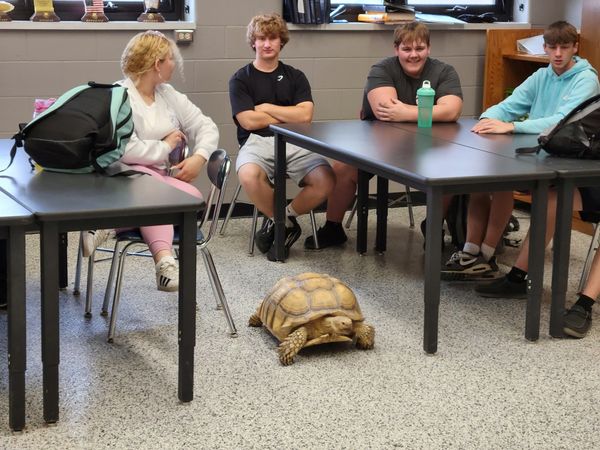 RiverdaleSDWI's tweet photo. The Companion Animal Science class had some interesting pets visit the Animal Lab! 🦎🐍🐢

🤔 Did you know that over 13 million people in the U.S. have reptiles or amphibians as pets?!

#RDMaroonNation https://t.co/7IVG1T5jqT