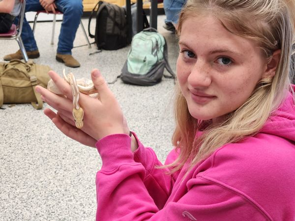 RiverdaleSDWI's tweet photo. The Companion Animal Science class had some interesting pets visit the Animal Lab! 🦎🐍🐢

🤔 Did you know that over 13 million people in the U.S. have reptiles or amphibians as pets?!

#RDMaroonNation https://t.co/7IVG1T5jqT