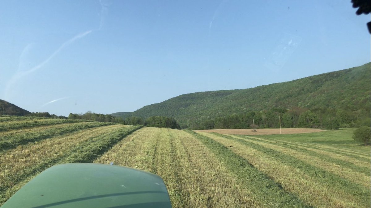 Tractor cab views from some days as a #weekendfarmer Making #haylage is my favorite job on the #farm! Helping #farmers globally feed #cattle better including more #silage is a #triplewin for #livelihoods #nutrition and #climate <a href="/EnvDefenseFund/">EDF</a> <a href="/GrowingReturns/">EDF Growing Returns</a> <a href="/JohnDeere/">John Deere USA</a>