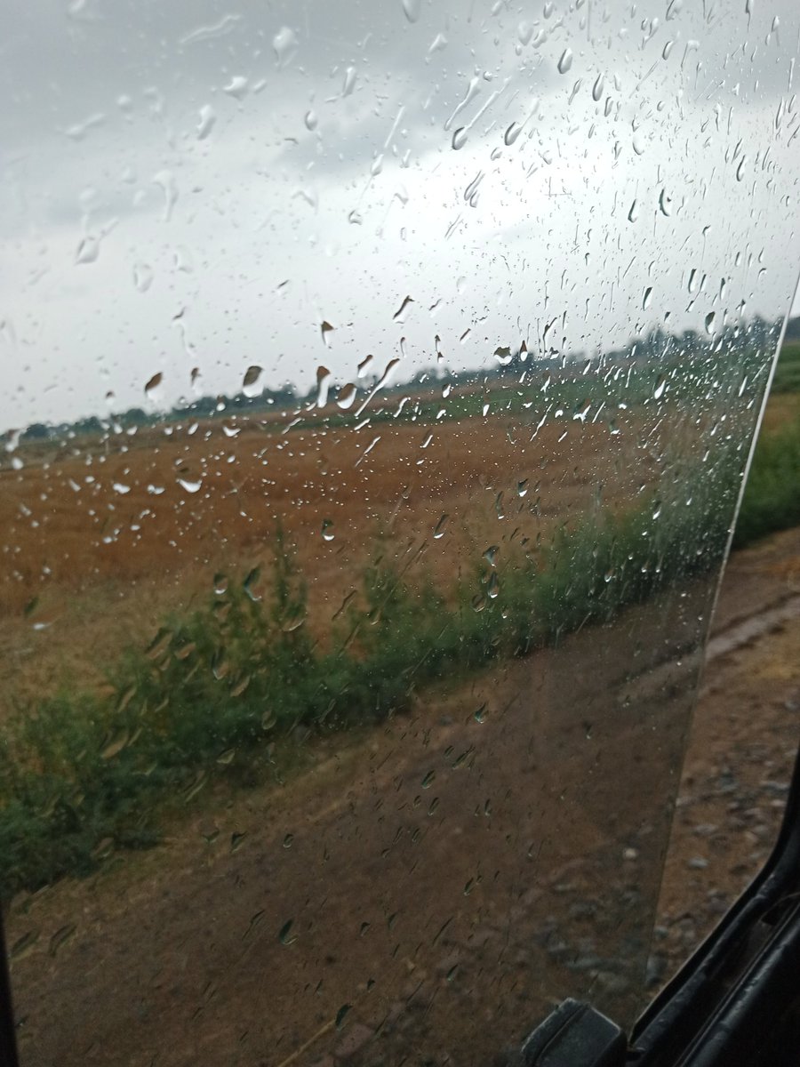 Bravo_Teacher's tweet photo. Happy Rainy Morning🌩💧
#SchoolSide https://t.co/mDE9emt7Gq