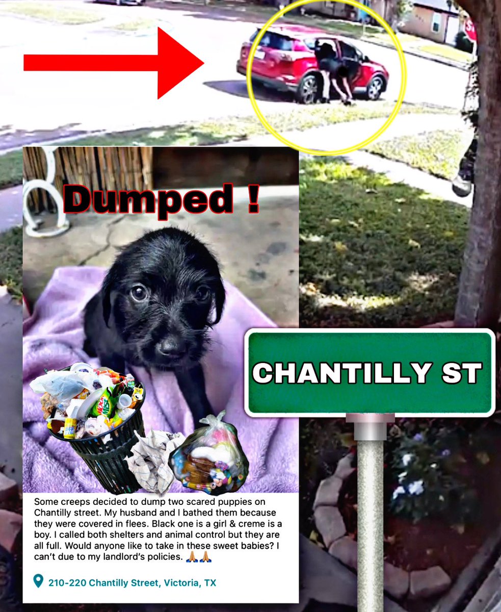 #victoriatexas #victoriatx #explorevictoria

DUMPED ON CHANTILLY STREET

youtube.com/shorts/z32hPTN…