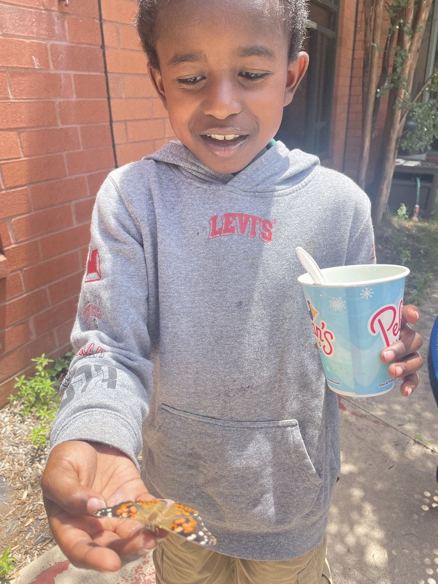 butterfly release 🧡