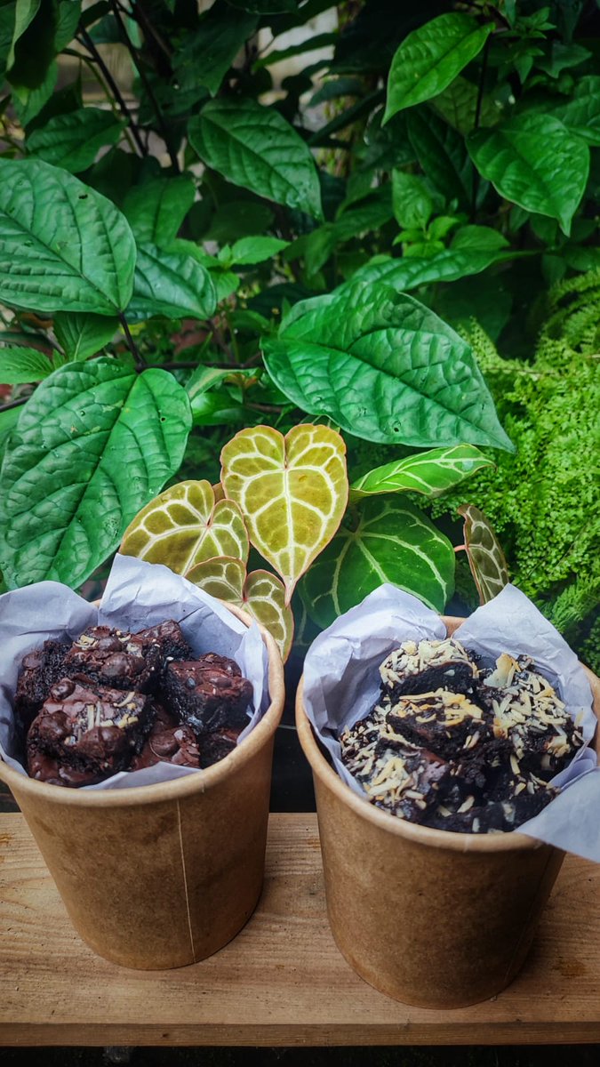Kedailycoffee's tweet photo. Kita masih prepare buka kembali di jl Mawar 1/24, Lowokwaru.

Tapi kalo ada yang mau pesan es, gyoza dan bakso aci atau brownies bisa hubungi kita, di 085646364248 😄

Besok libur https://t.co/AGpxfkqWdi