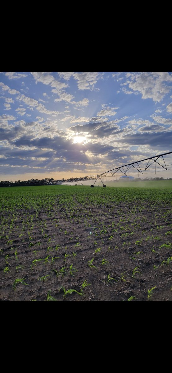 Let the season begin