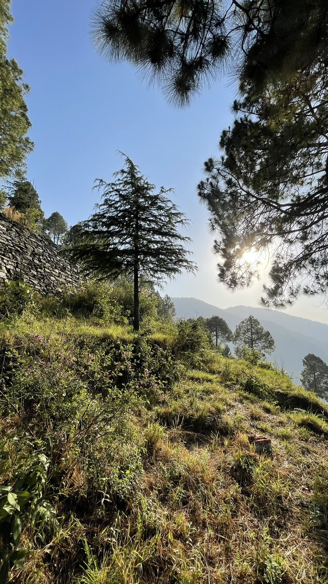 A hidden Gem -7 hours drive from delhi- Seclude Taradale (Ramgarh)
#beautifulindia #indianhills