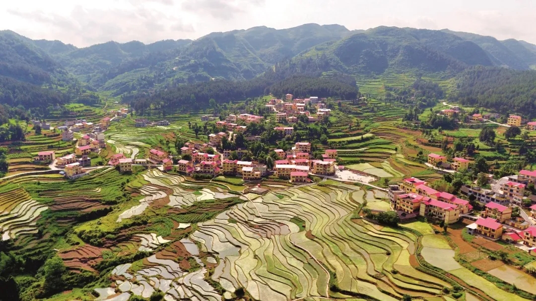 LiveinGuizhou's tweet image. Have you ever heard of Guizhou&apos;s #rural #revitalization model project that was launched in 2019? 

📷 by Sohu News

#Guizhou #rural #outofpoverty