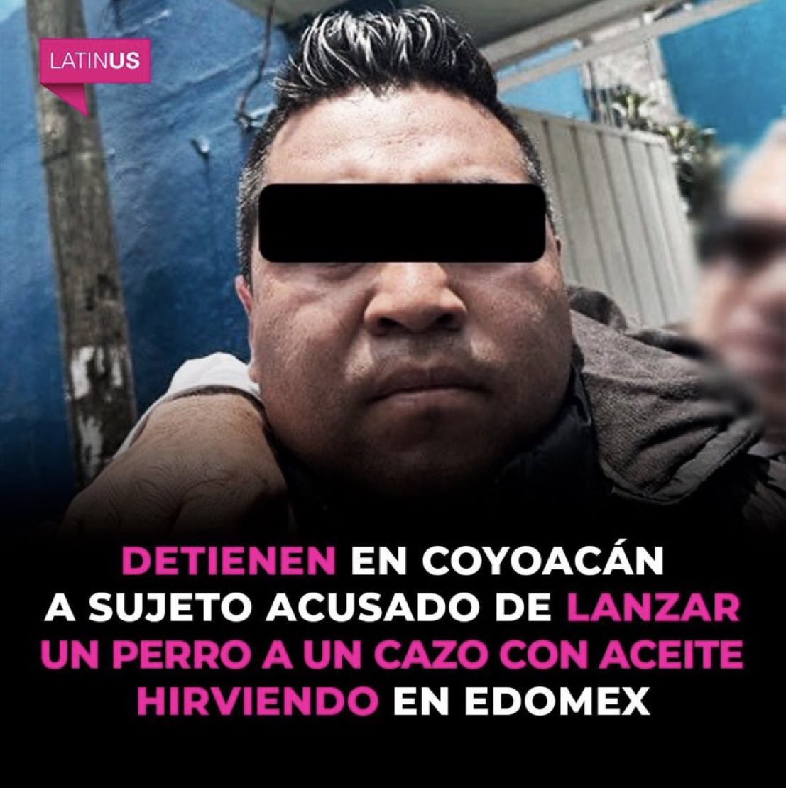 En México es más fácil recibir justicia si eres un perro, que si eres una mujer.
