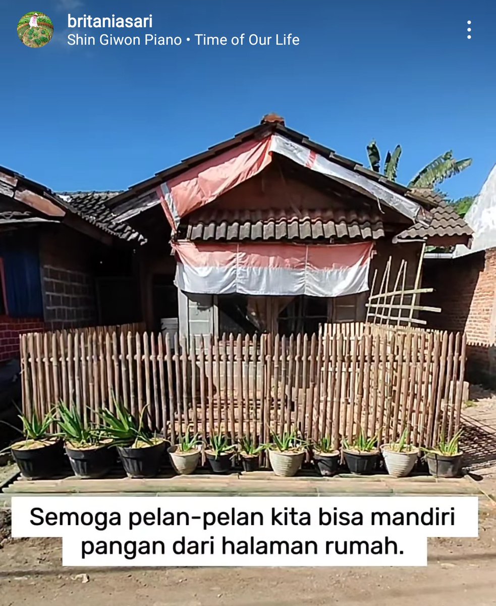 Kalo cuma ribut2 di medsos apa perkara kurang gizi bisa diatasi?

Aku salut bgt sama programnya Mba Britaniasari yg bikin kebun sayur utk keluarga pra sejahtera, membantu memanfaatkan pekarangan utk ketahanan pangan. Ada kolam ikan/kandang ayam jg.
Source IG @/britaniasari 👏👏👏