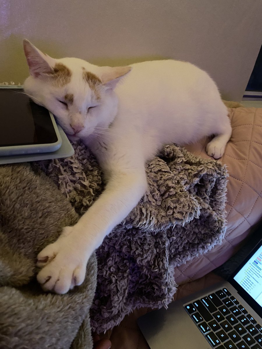 botmorbit's tweet photo. study buddy 🥰🍿 https://t.co/ZvDlt3iwyg