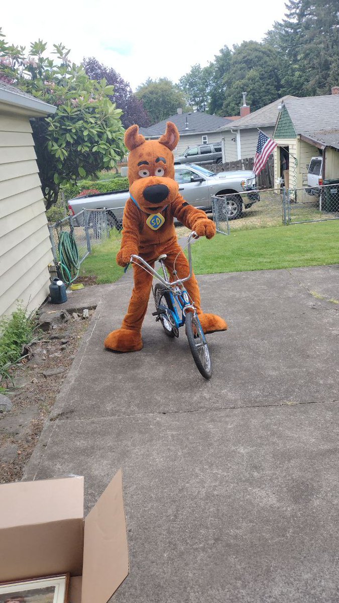 Scoobydude (@scoobyjim) on Twitter photo 