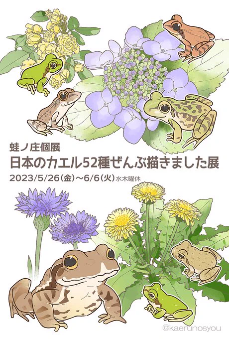 ちゃんとお知らせしていなかったので!  \初個展/ 蛙ノ庄  個展 「日本のカエル52種ぜんぶ描きました展」 ●2023/5/26(金)-6/6(火)水木定休 12:00-19:00( ●ぽたかふぇ。  カフェ展示・ワンオーダーをお願いします  コラボメニューあり!よろしくお願いします