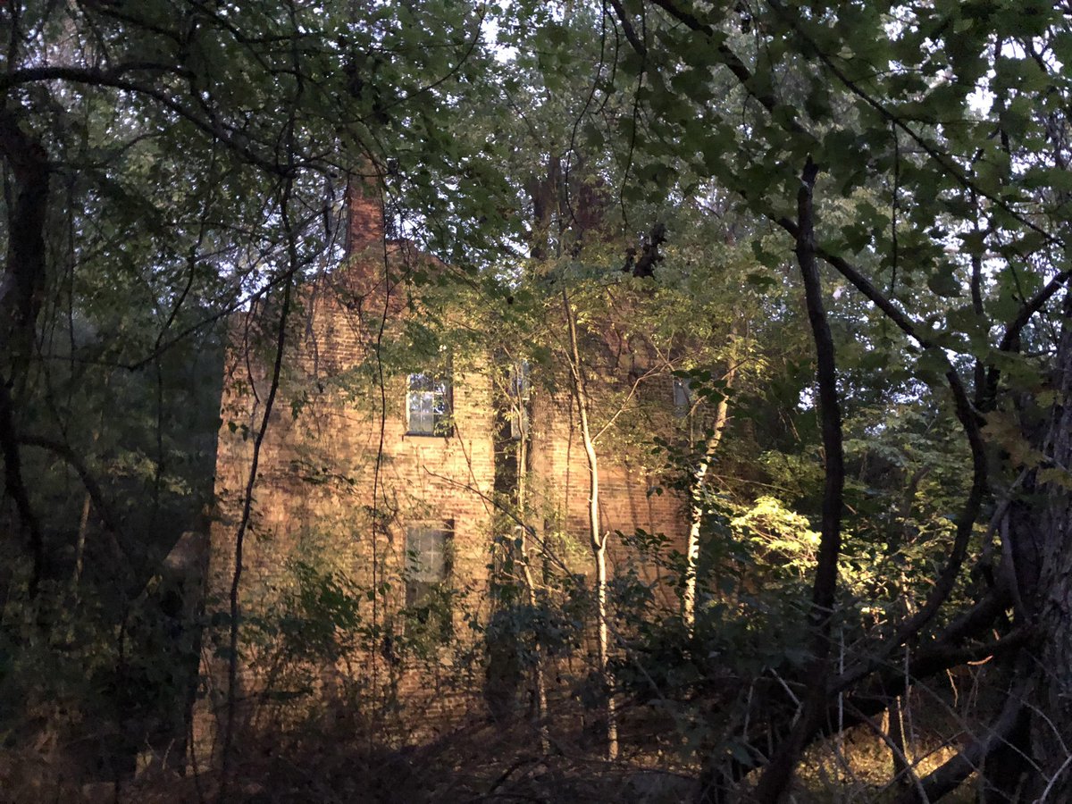 Retro Six Flags tweet media