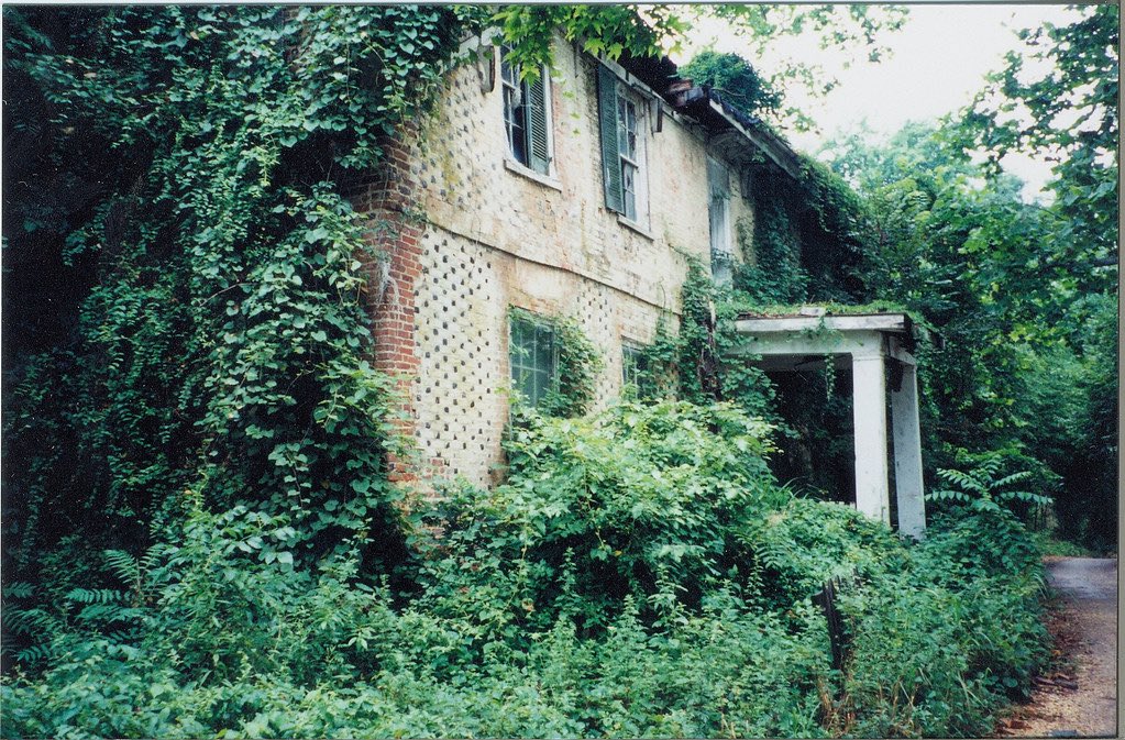 Retro Six Flags tweet media