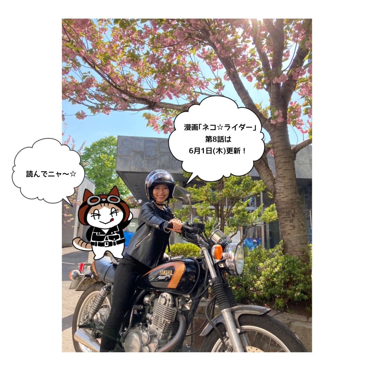 ニャン太と田島からのお知らせです🏍️🐈️ #ネコライダー