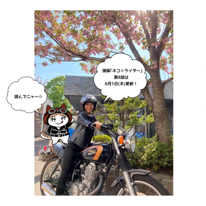 ニャン太と田島からのお知らせです #ネコライダー